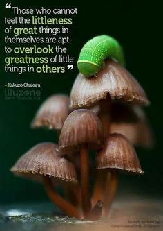 c99c5d0bdce9554c38518335d2b0d545--beautiful-nature-photography-amazing-photography