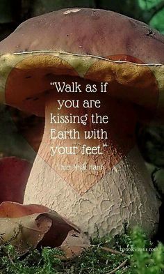 d1e451ebd4d6cb04fdd96f6761c7827d--wiccan-quotes-zen-quotes