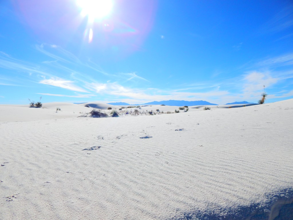 “Temporary photos.”