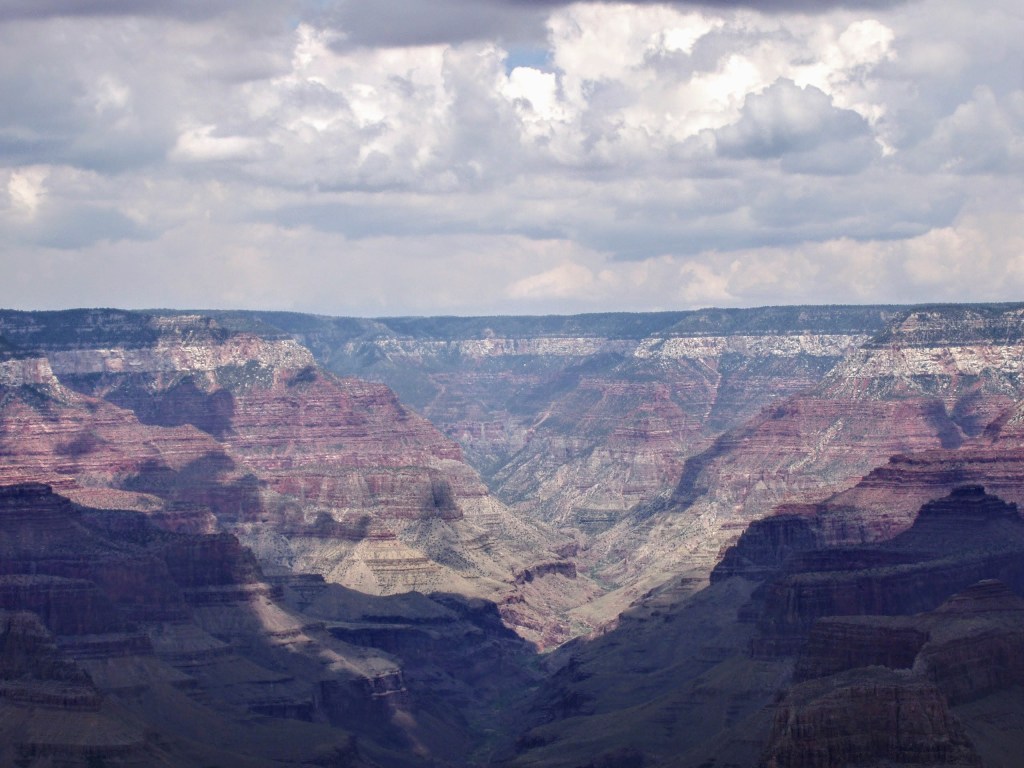 “Treated reservations.”