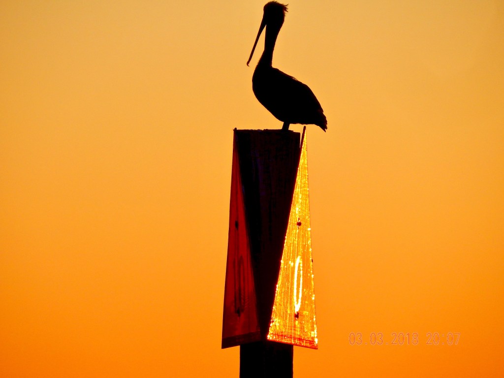 “Layers upon layers of&nbsp;hope.”