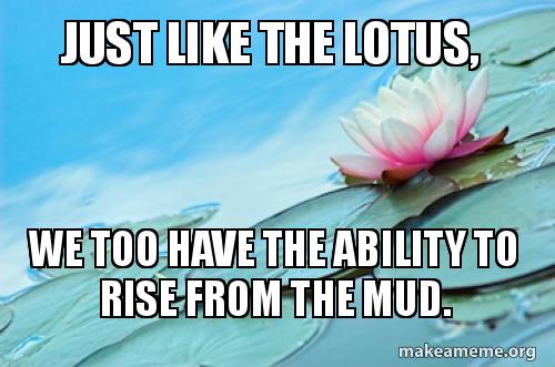 just-like-the-siw9k8