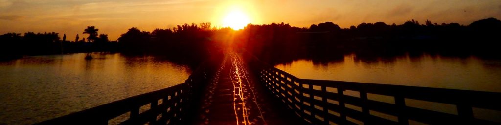 “Traveling nomadic during a world&nbsp;pandemic”