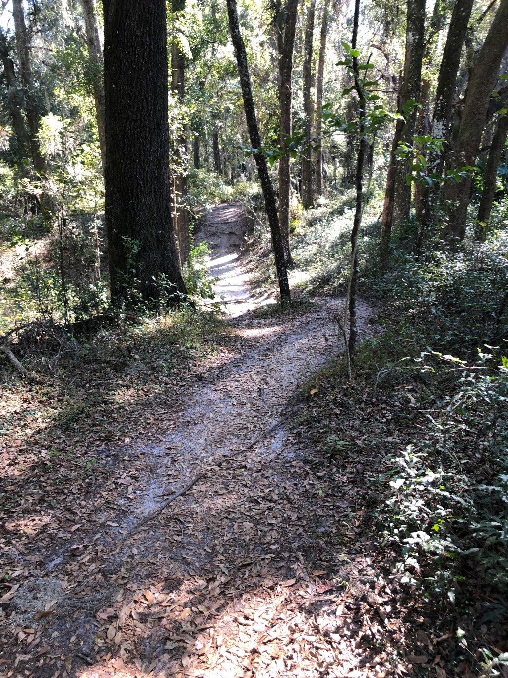 “Some fun Mountain biking&nbsp;time.”