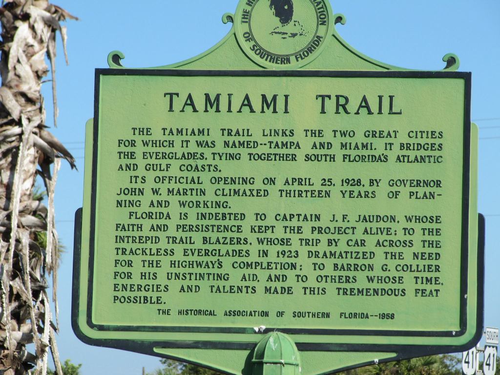 “Winter in the Everglades.”