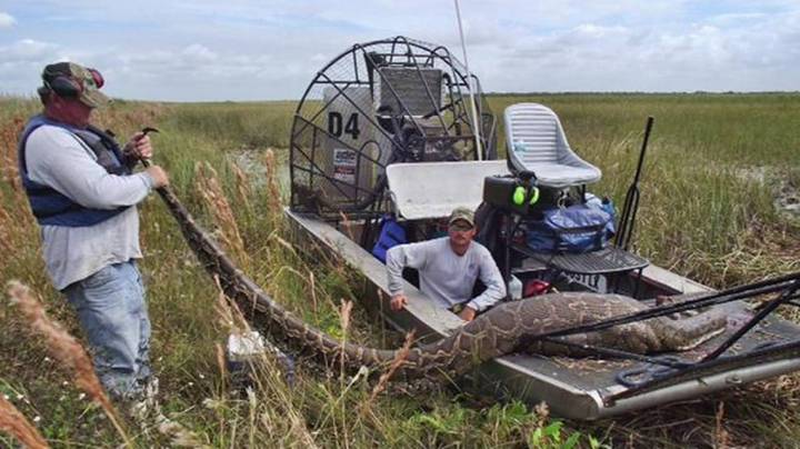 BY JENNY STALETOVICH JSTALETOVICH@MIAMIHERALD.COM MARCH 19, 2015 07:00 PM, UPDATED MARCH 20, 2015 06:09 AM