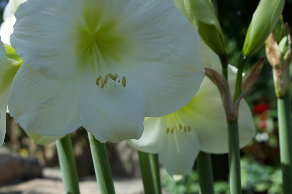 “My restless soul; (“Poetry”).