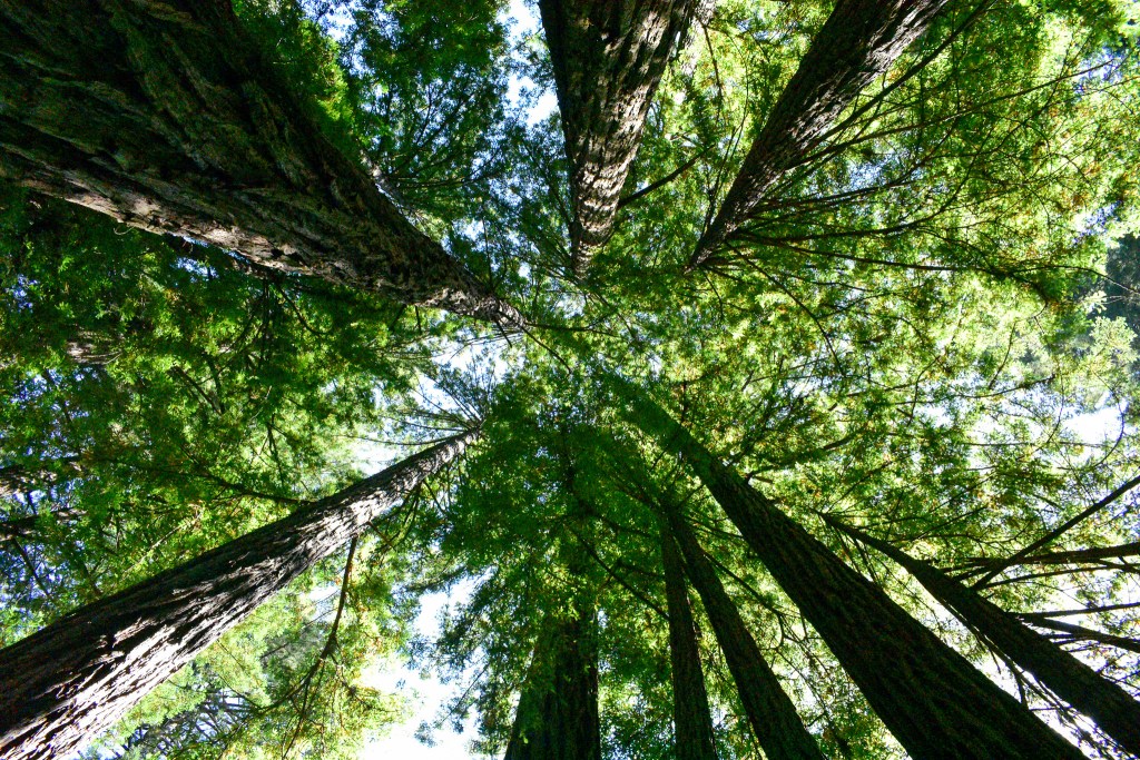 "Moving forward and expanding."