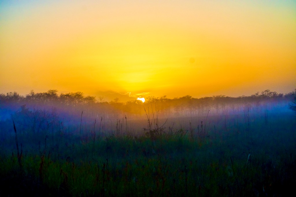 "Big Cypress National Preserve & the Florida&nbsp;Keys."