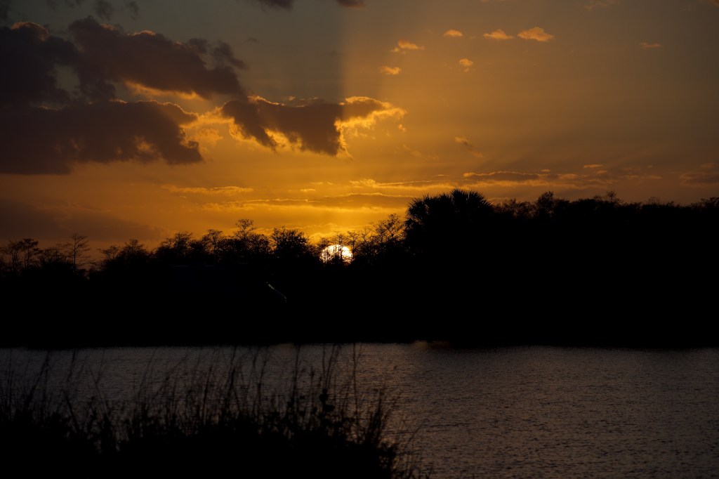 Big Cypress National Preserve morning&nbsp;sunrise