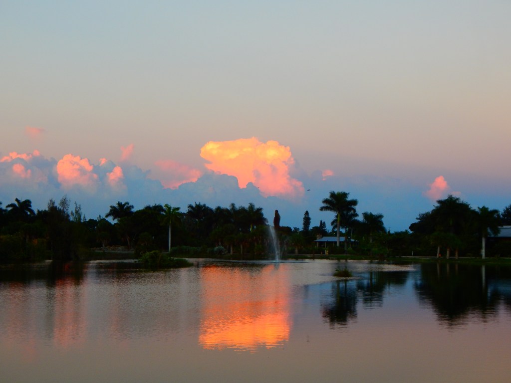 "My wives, girlfriends, and concubine."