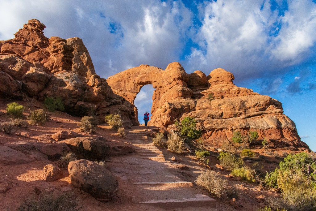 My accompanied travelers