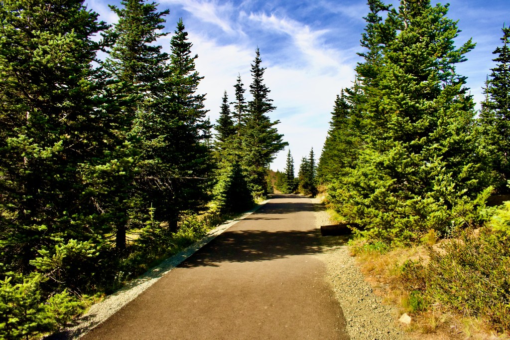 America’s prescription parks