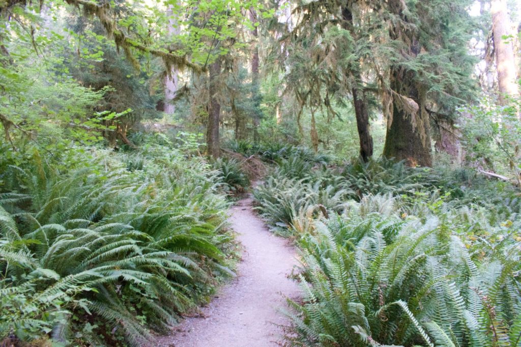 traveling during 2020, what a&nbsp;year!