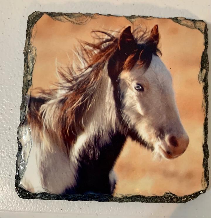 My Yearly Teddy&nbsp;Tour