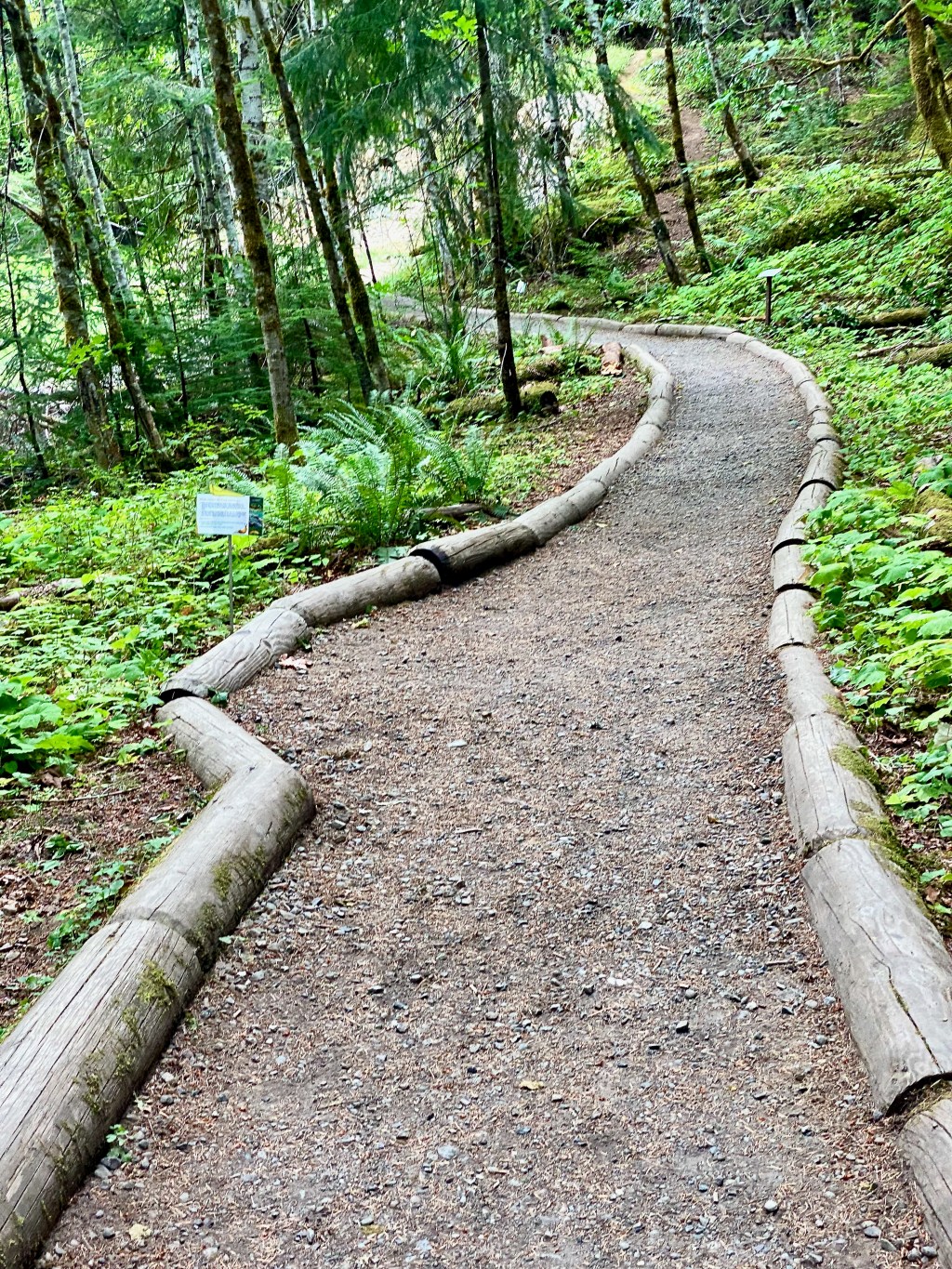 Nature’s forested spirituality