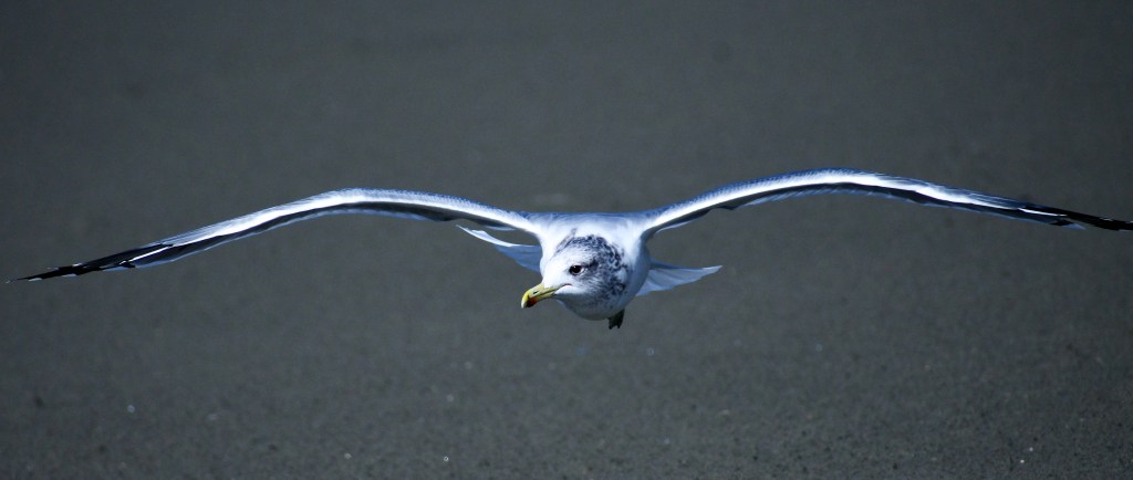 Expedition Overland Nomadic Adventures 2021 in&nbsp;Review