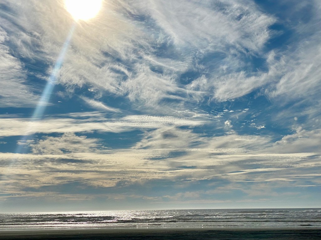 Pacific Coast Beach & Shore&nbsp;birds