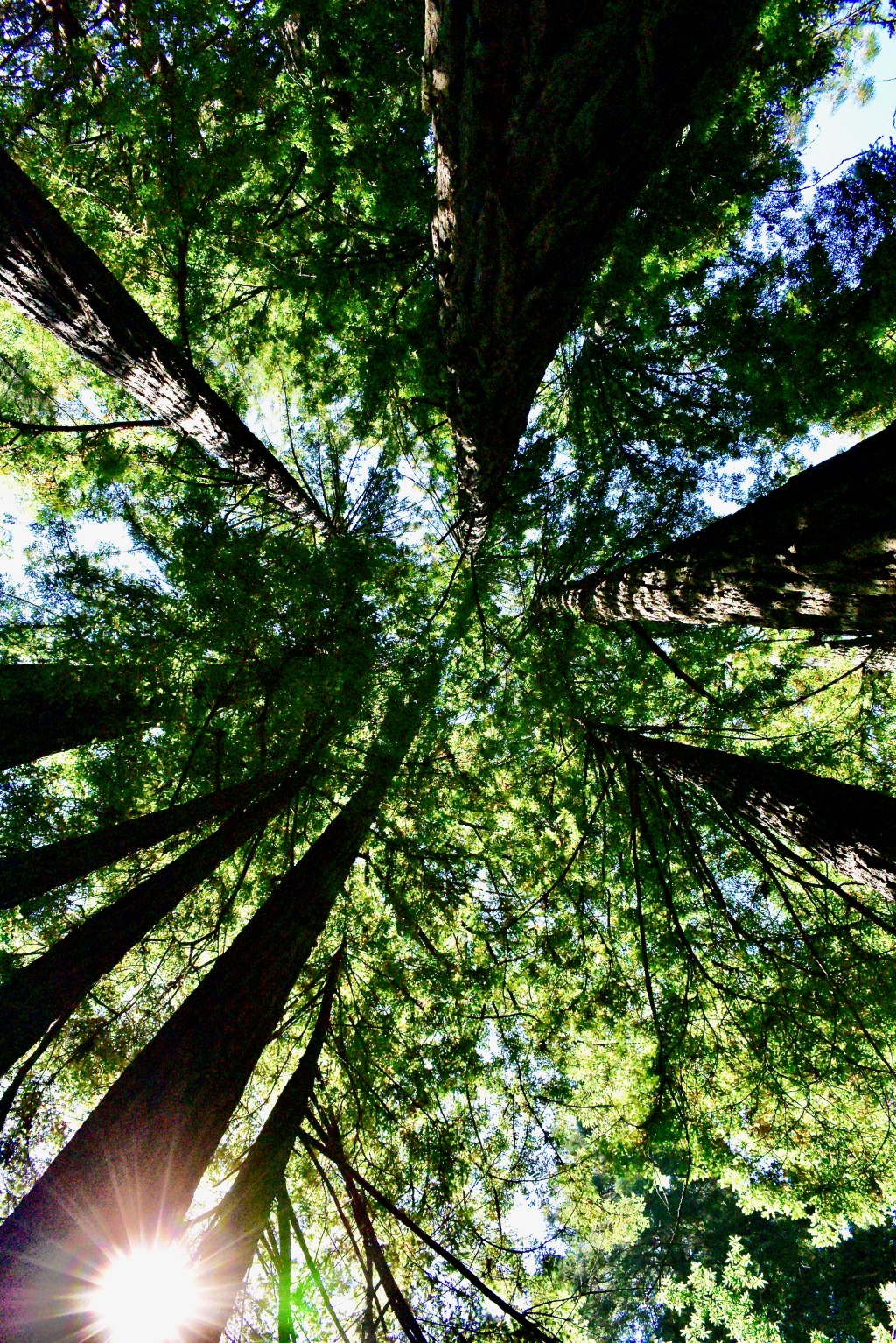 Nature, Humans and&nbsp;Time