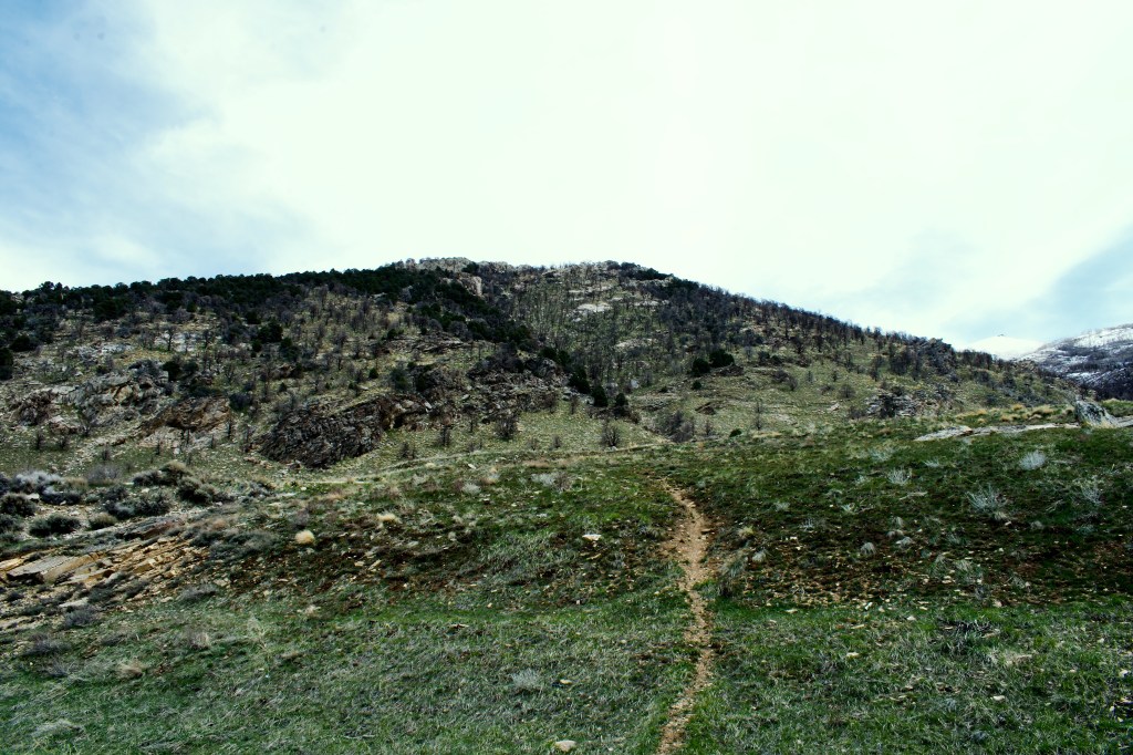 Spring time sounds of the&nbsp;trail