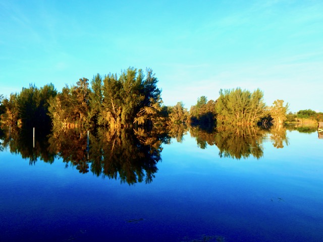 Image captured by the author Lakes Regional Park Fort Myers Fl.
