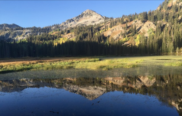Image captured by the author ‎⁨Uinta-Wasatch-Cache National Forest⁩, ⁨Salt Lake City⁩, ⁨Utah⁩, ⁨United States⁩