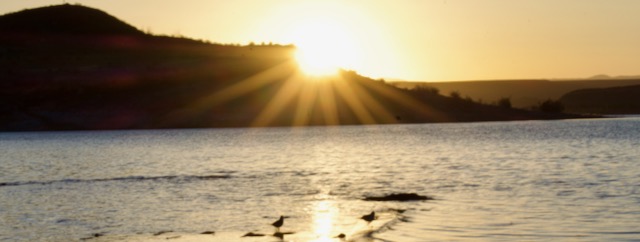 Elephant Butte Reservoir NM