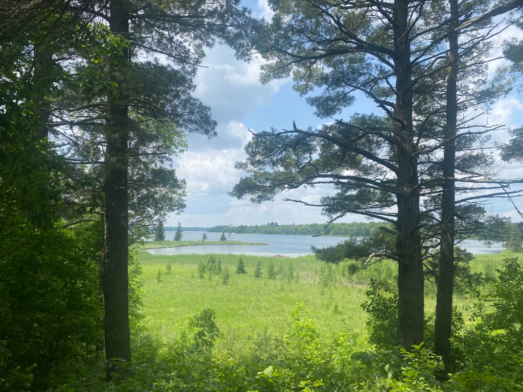 Early Summer Travels